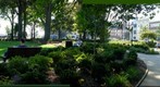 City's Park