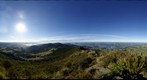 Otago Harbour and Dunedin