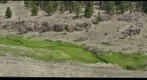 Mountain Meadow PP