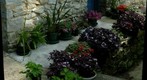 Entrance Sidewalk Garden