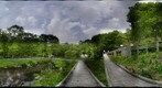 The little wetland