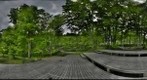 Step Decks