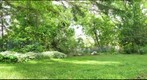 Guelph backyard