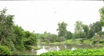Japanese Gardens, Missouri Botanical Gardens, June 2009
