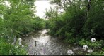 Speed River Guelph