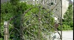 Gate