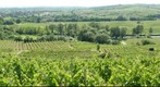 Langenlois-Zoebing