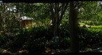 Houston, Texas:   Japanese Garden in Hermann Park - Gentle Peace In the Midst of Chaos 5/5