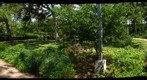 Houston, Texas: Japanese Garden in Hermann Park - Gentle Peace In the Midst of Chaos 4/5 - a 360 Panorama