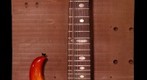 Alembic guitar