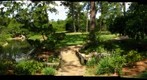 Houston, Texas: Japanese Garden in Hermann Park - Gentle Peace In the Midst of Chaos 2/5