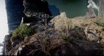 Vertical view of Victoria Falls, Zimbabwe, Classic safari rally, 2008