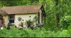 THE SECRET GARDEN