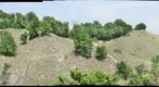 Furnessville Back Blowout 20090610