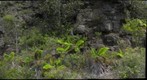 Kilauea crater rock wall