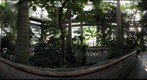 The Jungle Room of the National Botanic Gardens, Washington DC