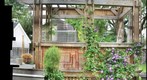 Our back yard pergola and Clematis