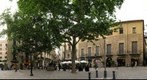 How many Albert Claret are there in the picture?