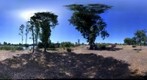 Arboleda junto al rio Guadiana