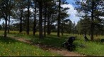 Boulder Field of Flowers