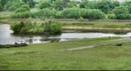 Cefn-Gola Pond, Tredegar, South Wales