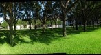 Houston, Texas: WaterWall - Father's Day 8:15AM