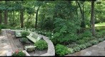 terrys back yard