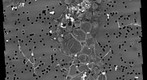 Snow Algae  (B14R)