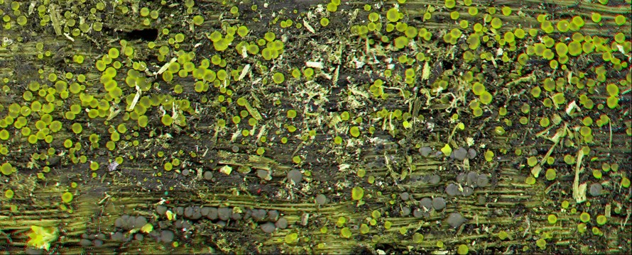 26591-890x360