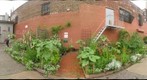 Brooklyn Garden