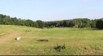 Lake Farm from Silo
