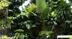 My Garden , First test Gigapan