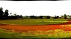 Legendary Track, Iten - Kenya
