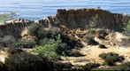 Torrey Pines State Reserve, San Diego, California
