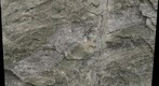 Snake Cut West Macro #1