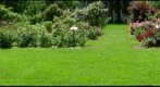 Rose Garden 5