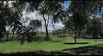 Outside my back fence (Townsville Town Common) 2