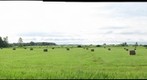 NY Farmland