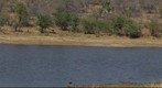 Elephant at the Kruger National Park, South Africa (KPSERIES NO2)