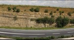Lias Sandstone