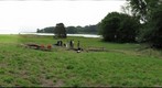Greene Farm