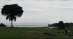 Greene Farm