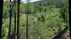 BlueRiver2
