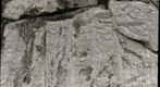 Steer's Head Roadcut Detail
