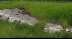 Glacial Striations on Marble, Adirondack Lowlands