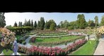 Am Rosengarten Mainau Bodensee