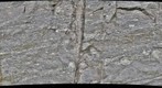 Hague Gneiss: Kinzigite, Up Close