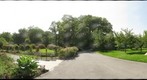 'Fountains and Roses, Brooklyn Botanic Garden  (garden3)'