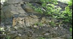 Precambrian-Cambrian Unconformity at Putnam Station, NY