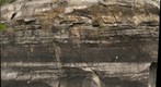 Weathered Sedimentary Rocks near Ticonderoga, NY